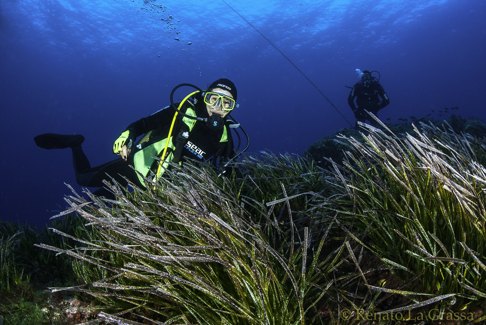 Videogallery – Crociera subacquea Isole Egadi – Sett.-Ott. 2020